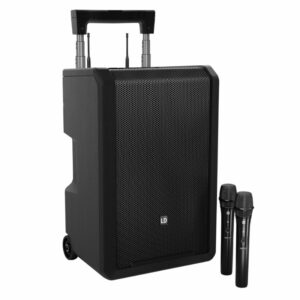 enceinte Anny 10 2 micros